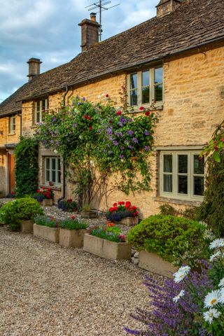 cotswold cottage with rambling plants