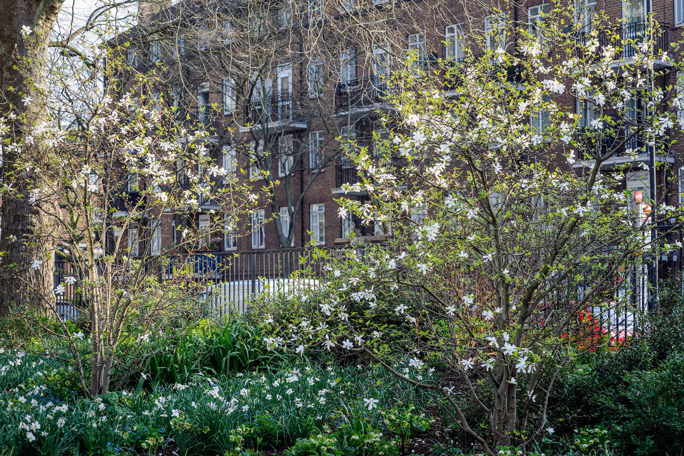 Maggie&#039;s West London, an orange structure and its mature garden
