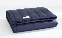 Casper Weighted Blanket | Was $169, now $74.25 (save $94.75)