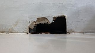 A hole in the wall for rats
