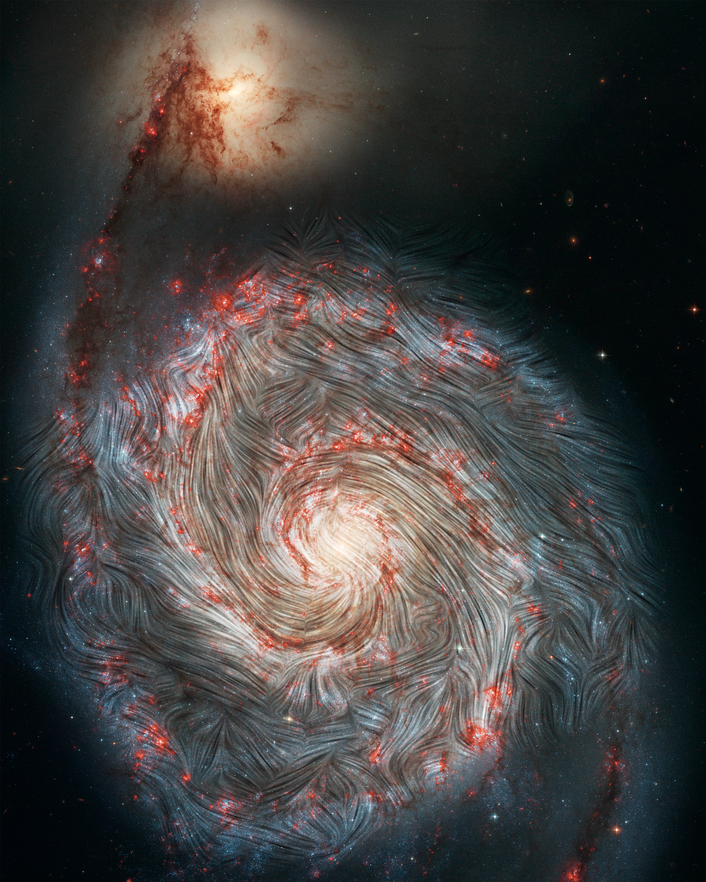 Magnetic field streamlines detected by SOFIA are shown over an image of the Whirlpool galaxy, M51, from NASA’s Hubble Space Telescope.