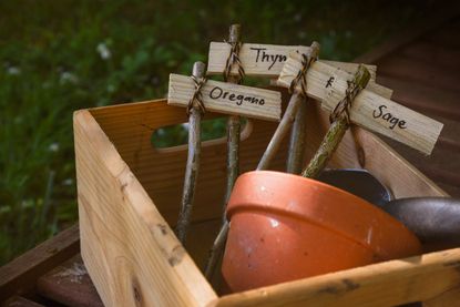 DIY Wooden Plant Markers