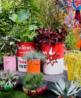 colourful pots filled with plants on a patio