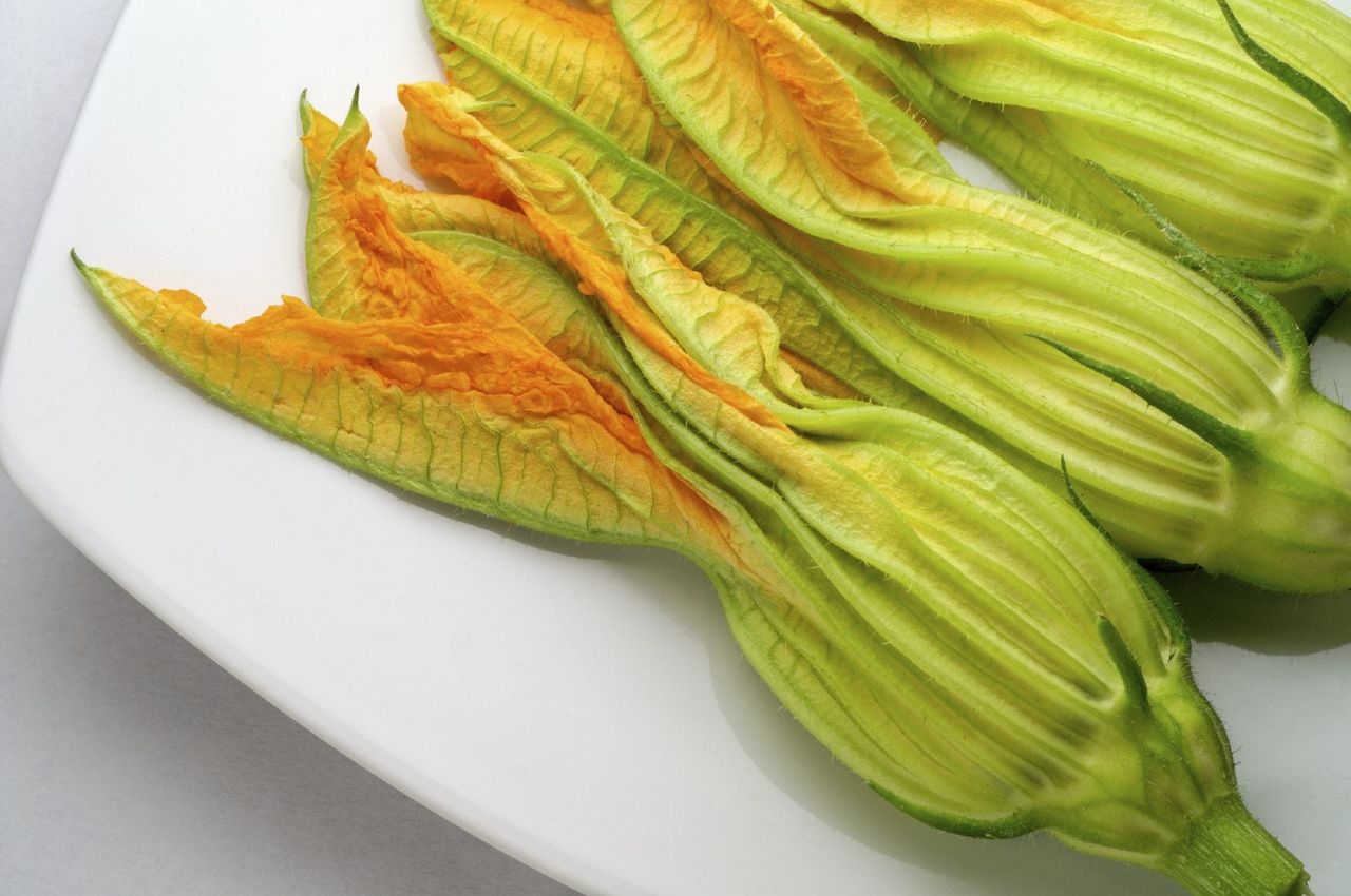 Vegetable Plants On A White Plate