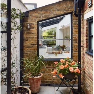 outdoor brick wall with large window, green ivy and potted plants