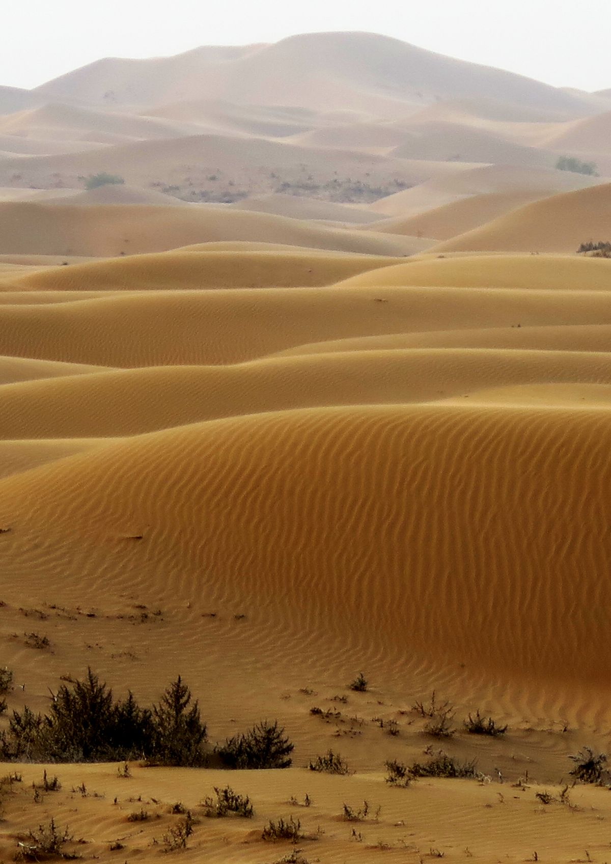 sand dunes