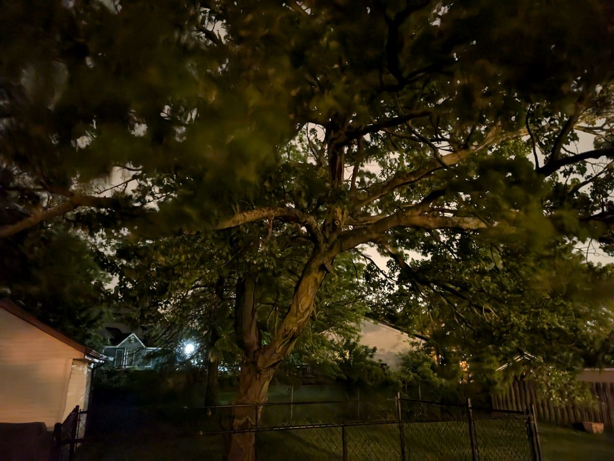 Google Pixel 8a low light sample.