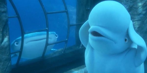 Finding Dory Beluga Whale