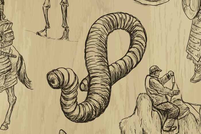 Mongolian Death Worm, folklore