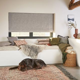 neutral living room with build in bench sofa-style seating and a wide window covered in a Roman blinds and a dog on the floor in the foreground