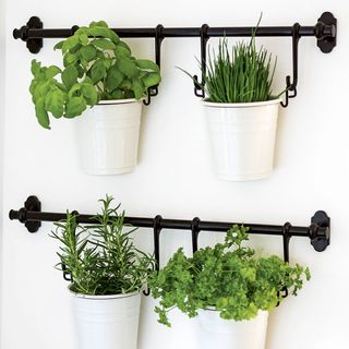 hanging herb planters