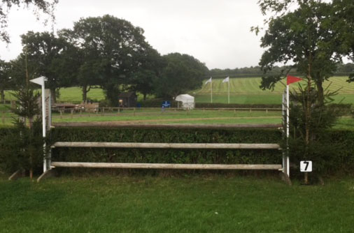 Fence 7 &mdash;&nbsp;Live Hedge