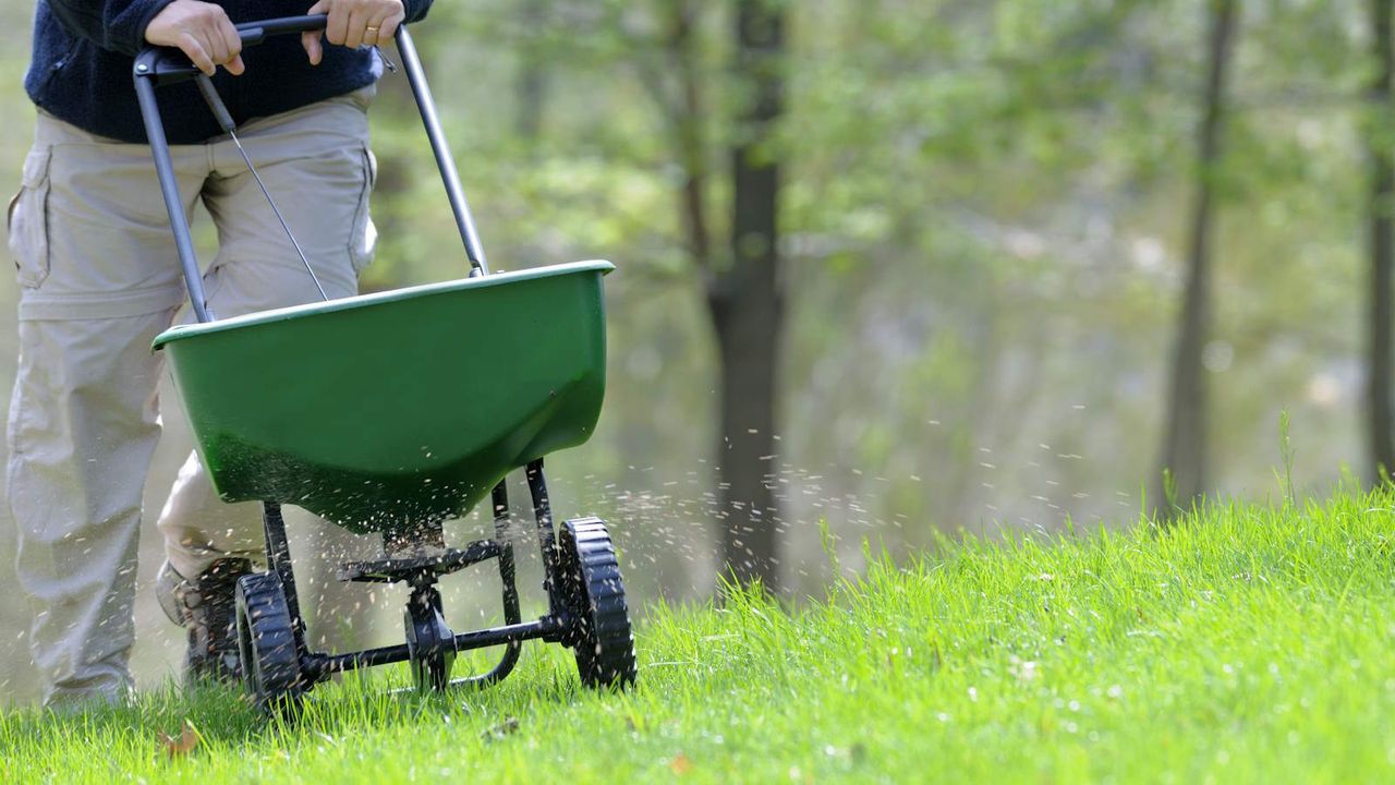 A man fertilizing a lawn with a spreader