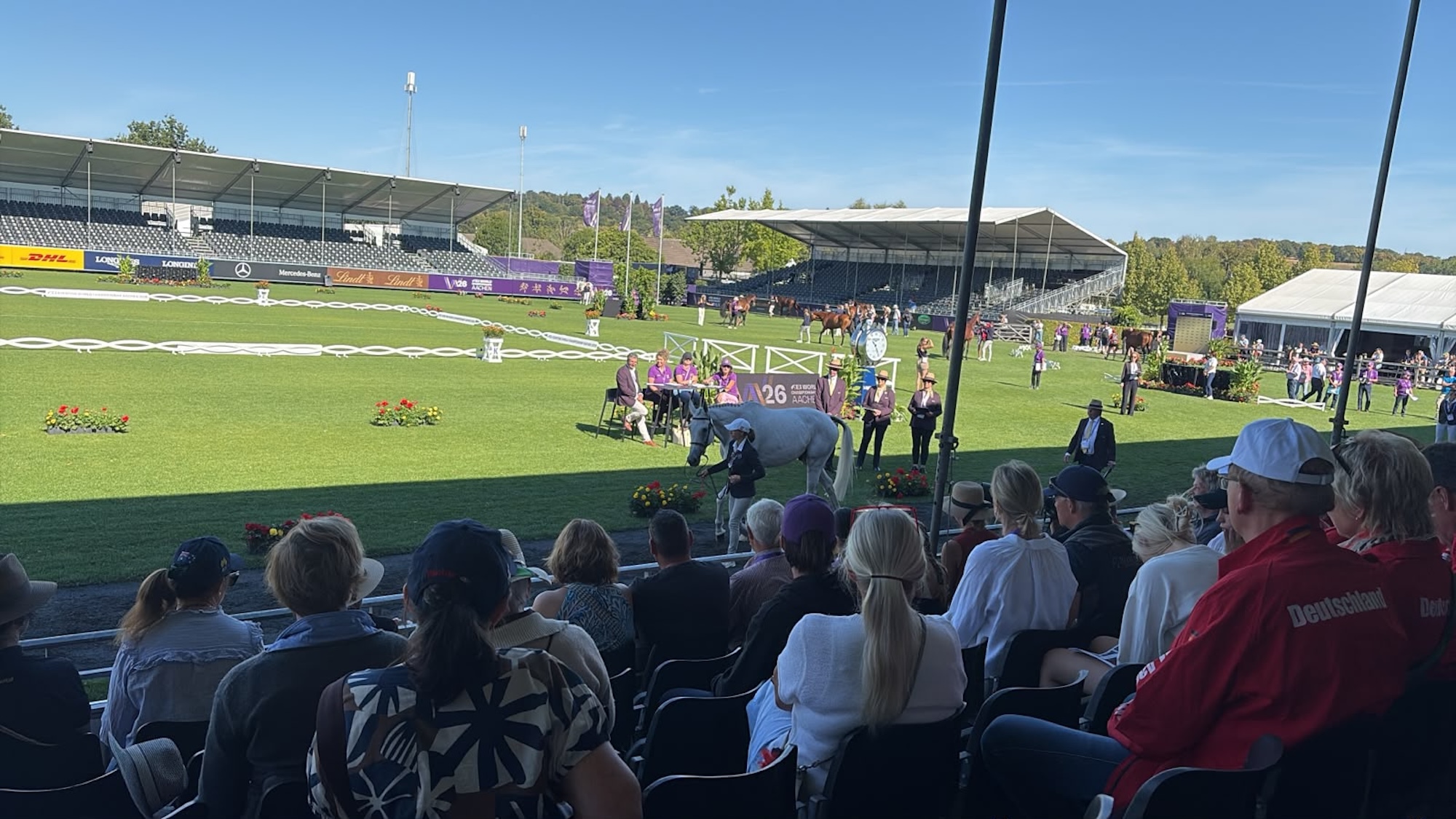 Grey horse trotting up at world championships in aachen