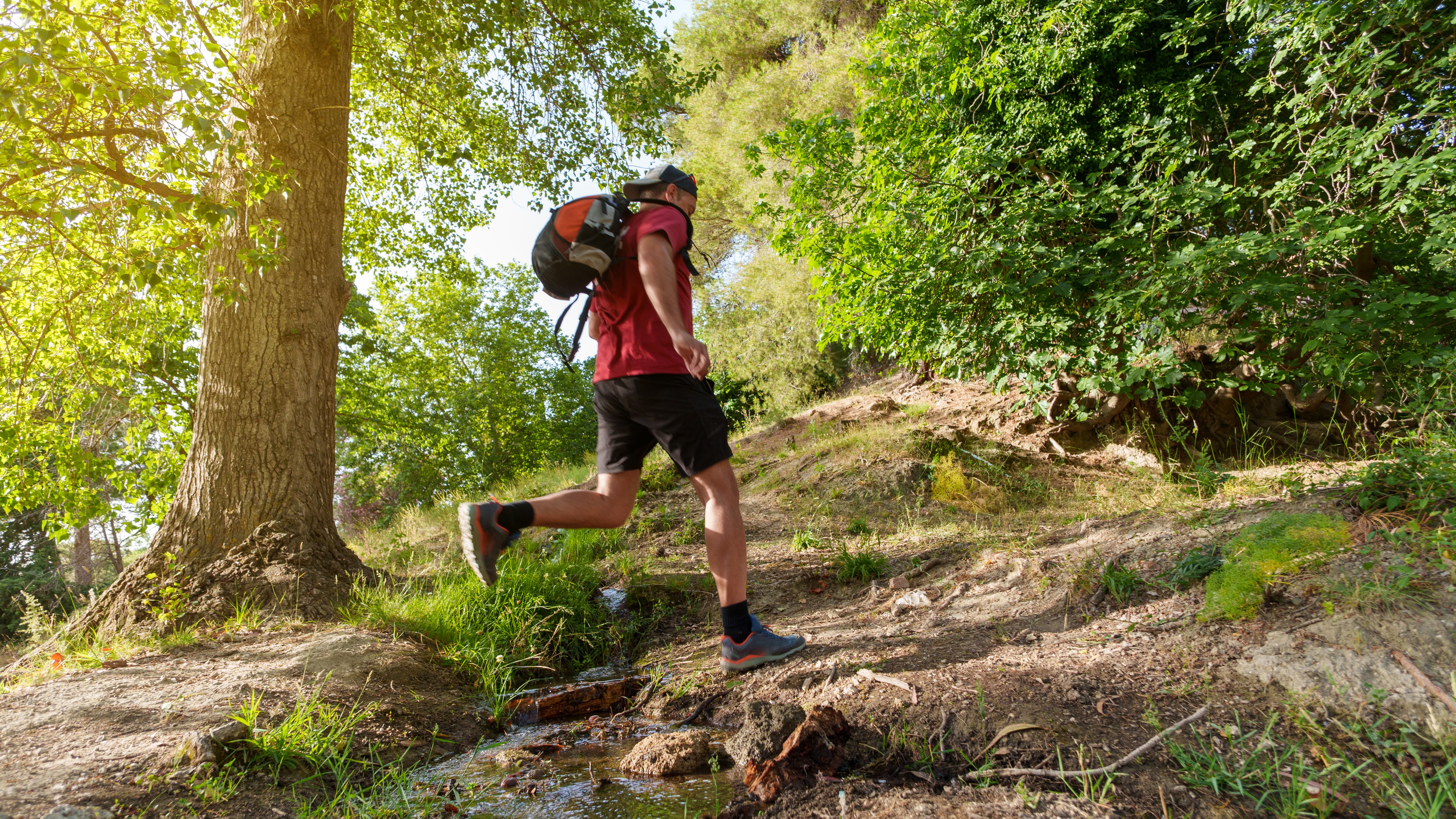 A man walking through a forest wearing a backpack