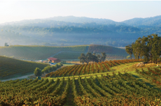 value Rhône California wines