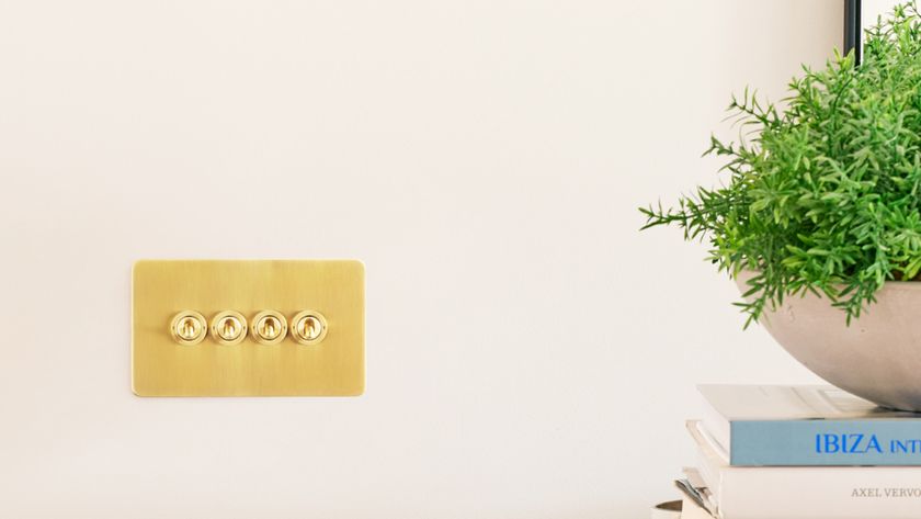 brass toggle light switch on wall with plant and books next to it