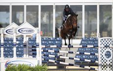 Meredith-Michaels-Beerbaum-Daisy-191_7157-Sportfot-LO.jpg