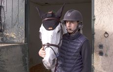HorseCom-2016_MG_9112.jpg