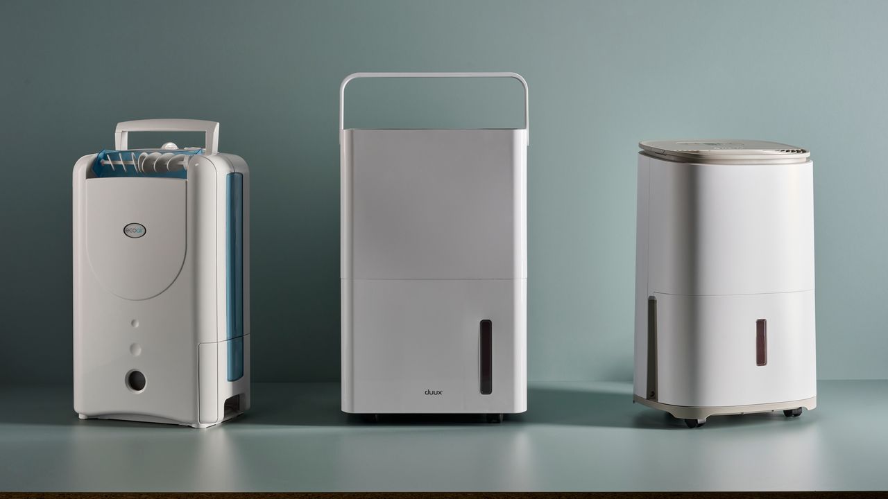 Best dehumidifiers