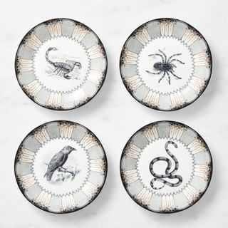 Scorpion, spider, bird and snake plate