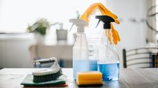 Collection of cleaning products on a work surface