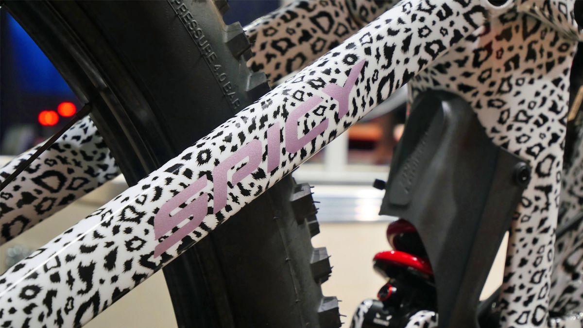 Isabeau Courdurier's Lapierre Spicy custom