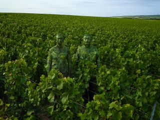 Hiding in the vineyards with the Ruinart Cellar Master, 2017, by Liu Bolin for Ruinart