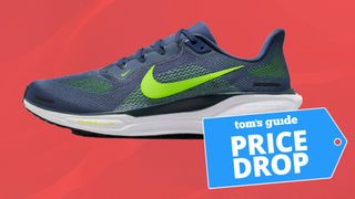 Nike Pegasus 41 running shoe