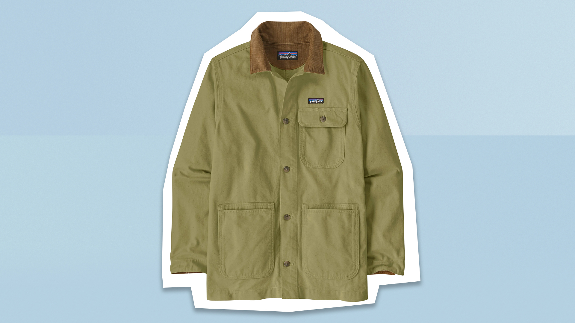 Patagonia Point Reyes Canvas Jacket