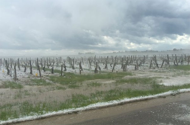 hail in chablis, burgundy