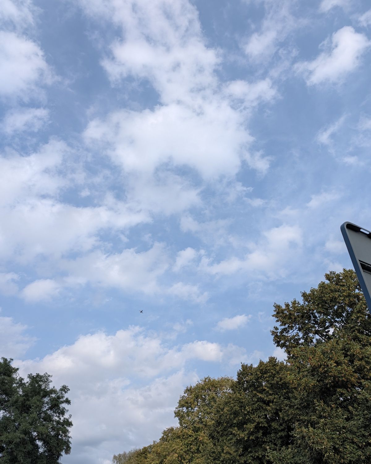 Google Pixel 11 Pro voorbeeldfoto