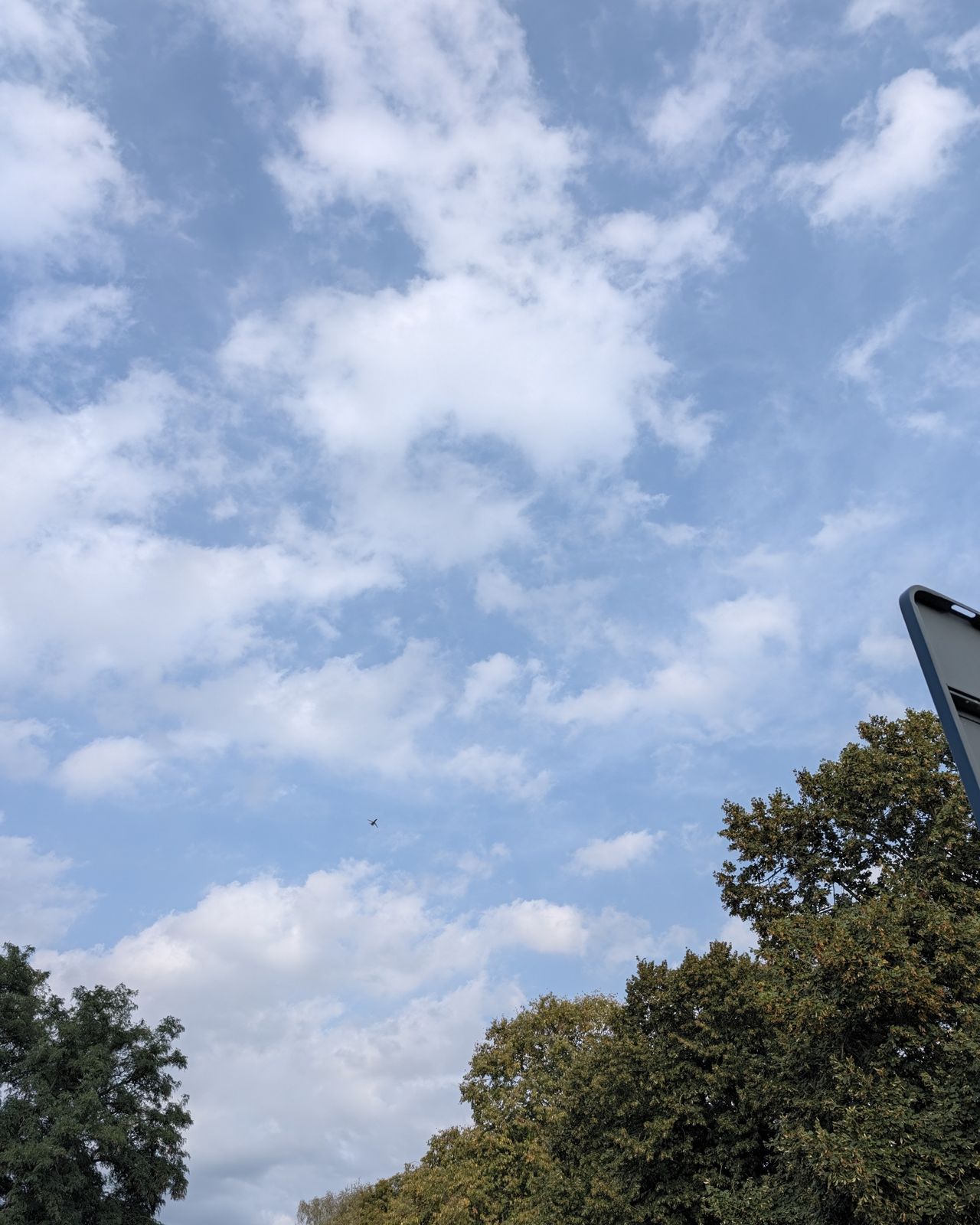 Google Pixel 11 Pro voorbeeldfoto