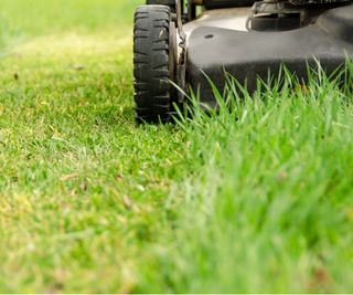 Cutting grass in october sale