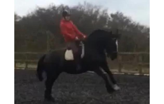 Nicola Longworth — “This is five-year-old Grace, aka The Tank, who has just started schooling this year”