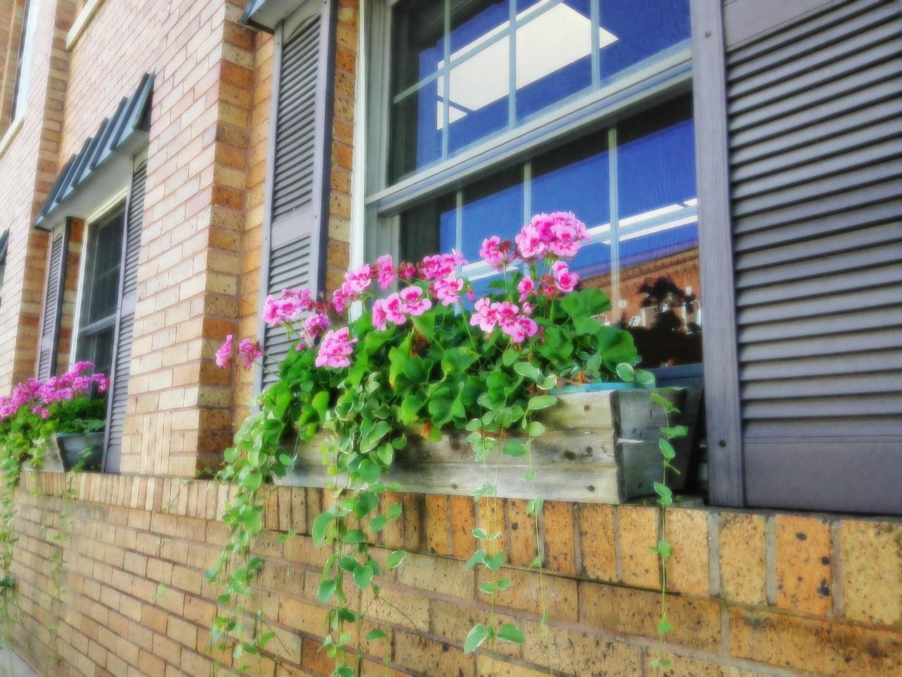 Sample image from Instax Pal 2