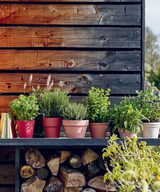 A row of terracotta herb pots on a black planting table with logs stored underneath and a wood board wall.