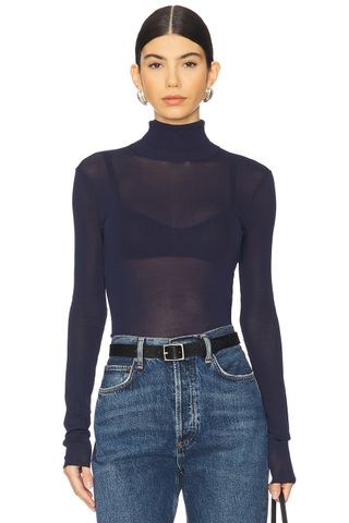 Alexander Sheer Turtleneck Sweater