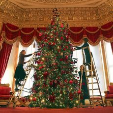 christmas tree at windsor castle