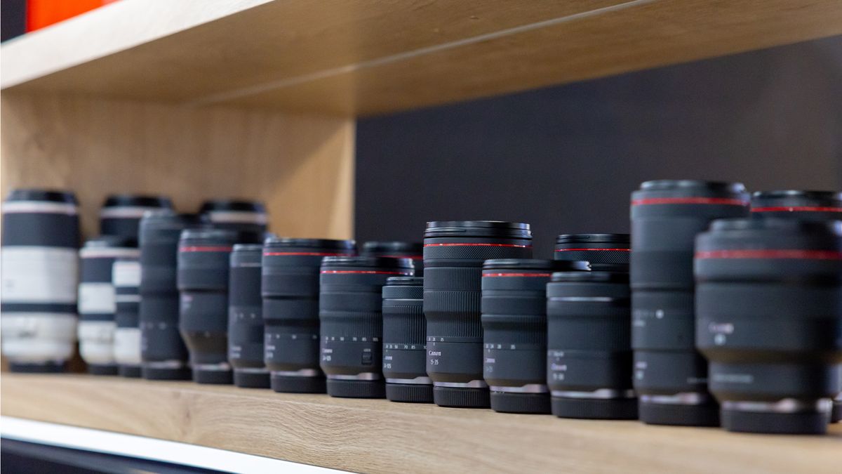 A selection of Canon RF lenses lined up on a wooden shelf