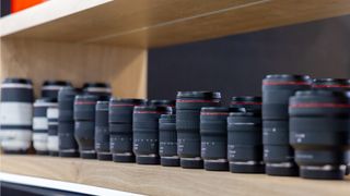 A selection of Canon RF lenses lined up on a wooden shelf