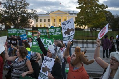 Environmentalists celebrate President Obama's Keystone XL pipeline rejection
