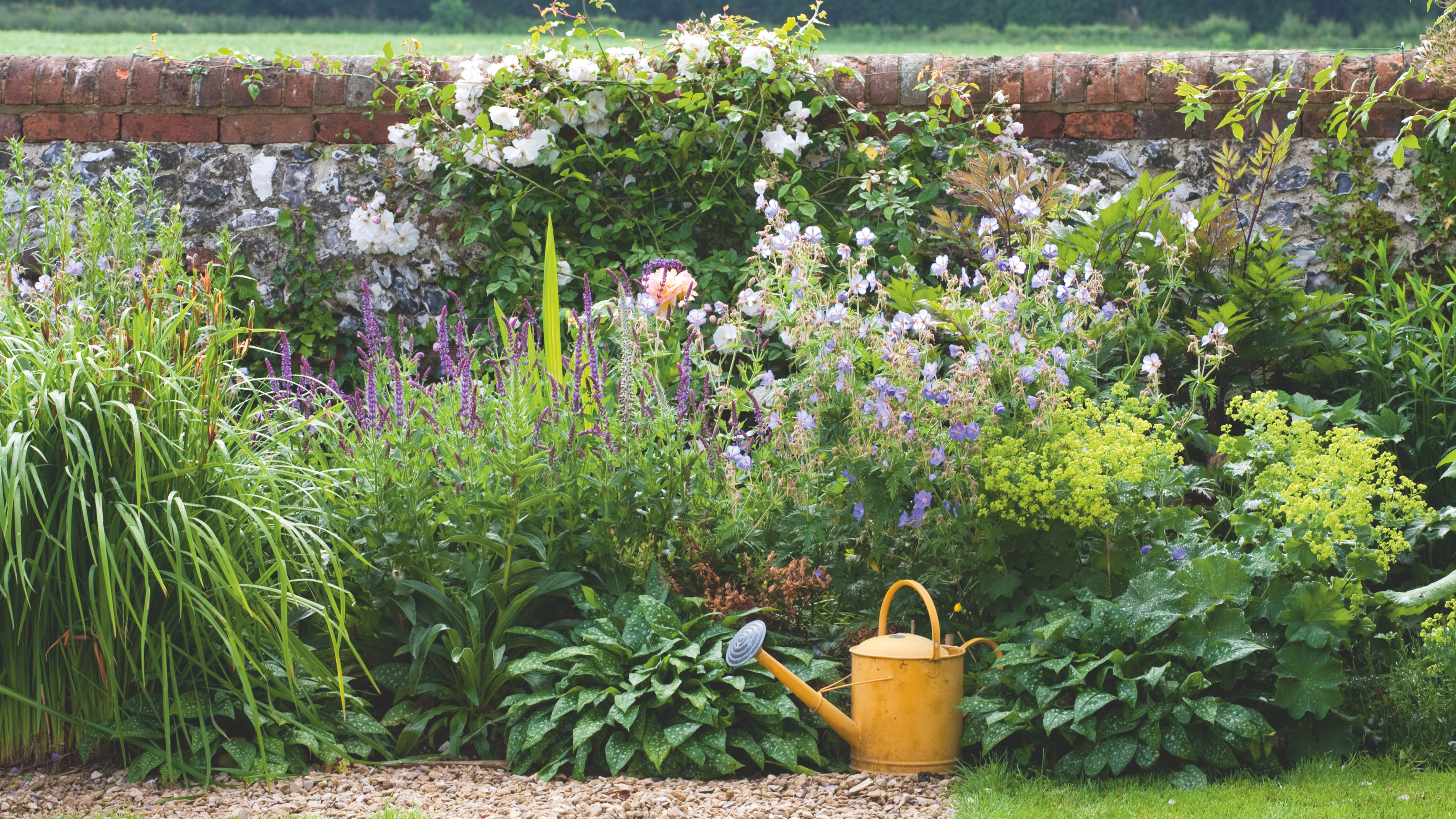  Garden brick and flint wall covered with green foliage, and flowers, watering can 