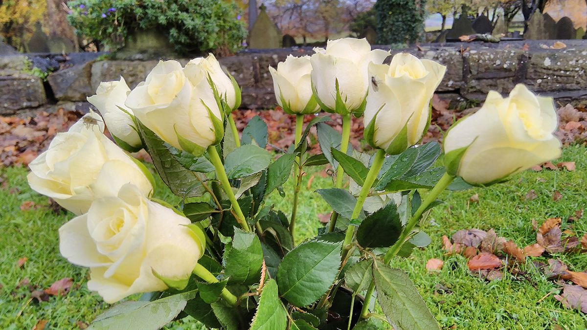 Vodafone Smart V10 camera sample