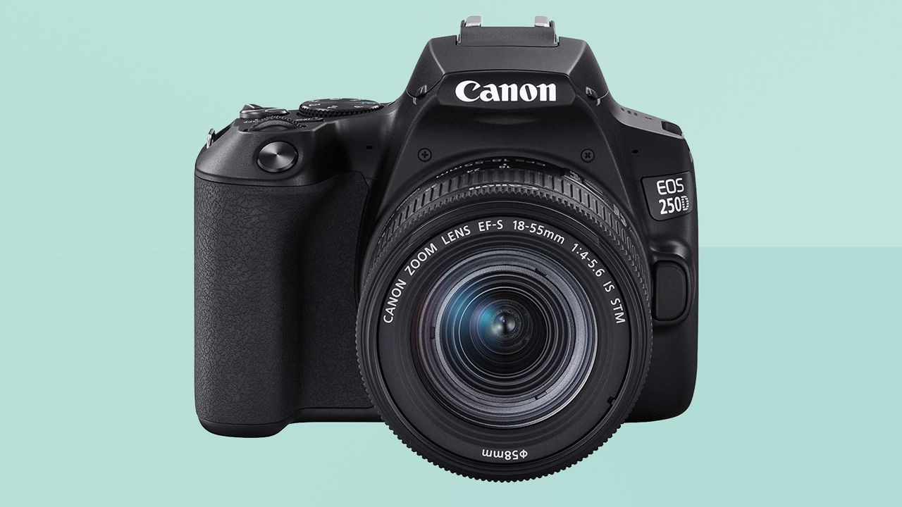 Canon EOS 250D review