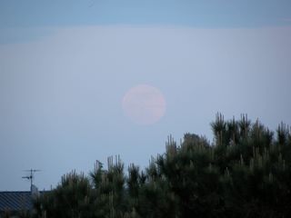 Supermoon of 2012 rises over Pisa, Italy, in this photo from Giuseppe Petricca.