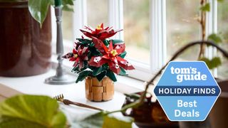 Lego Icons Poinsettia building set displayed on windowsill