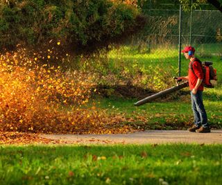 A man blowing leaves with a backpack leaf blower