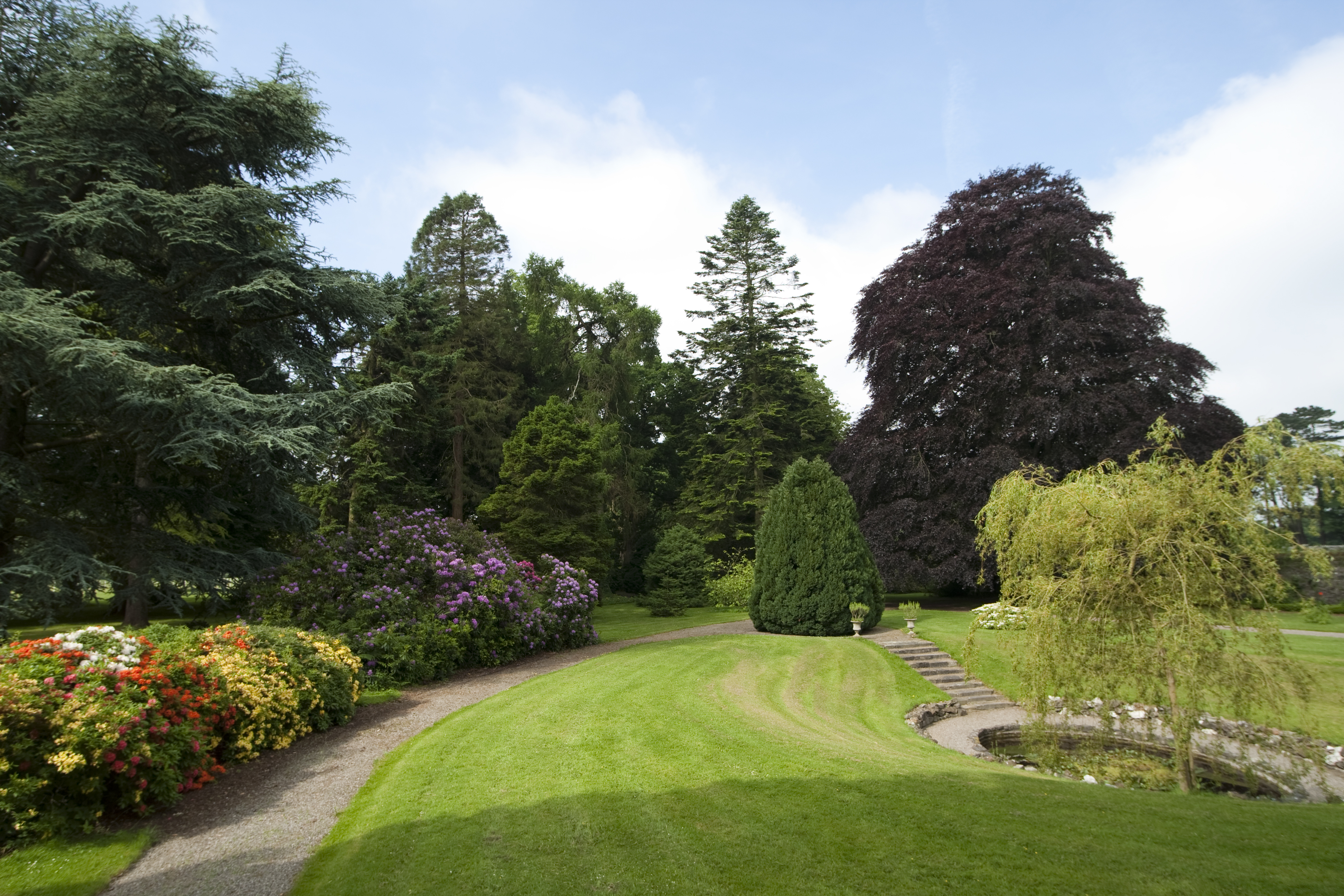 Dollanstown-17-1.jpg