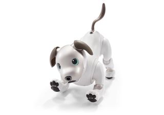 Sony robot pet dog